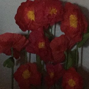 Meet your Posher, Kay